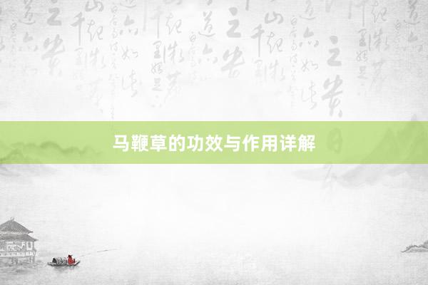 马鞭草的功效与作用详解