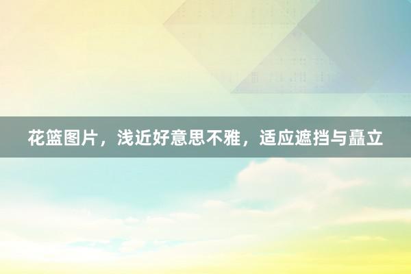 花篮图片，浅近好意思不雅，适应遮挡与矗立