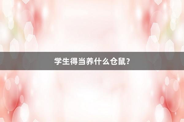 学生得当养什么仓鼠？