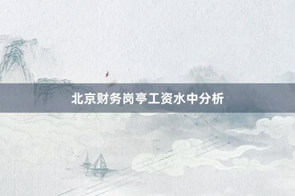 北京财务岗亭工资水中分析